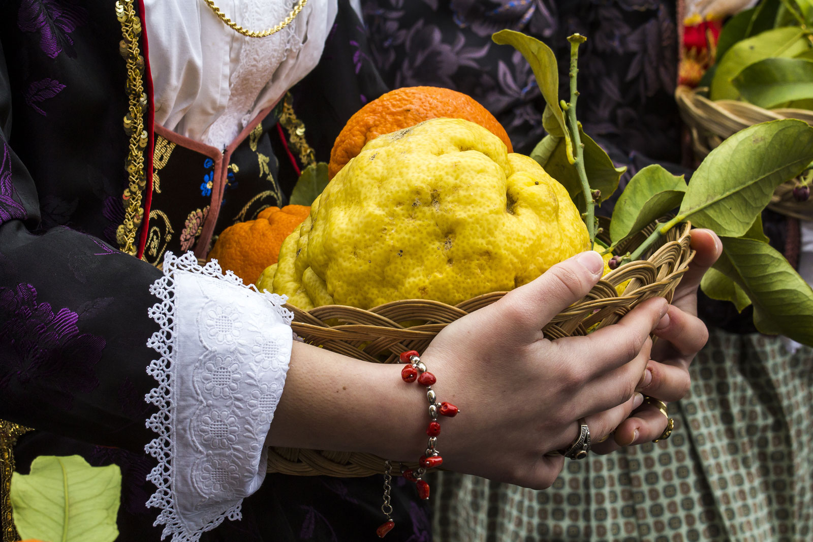 Фестиваль цитрусовых в Муравере
