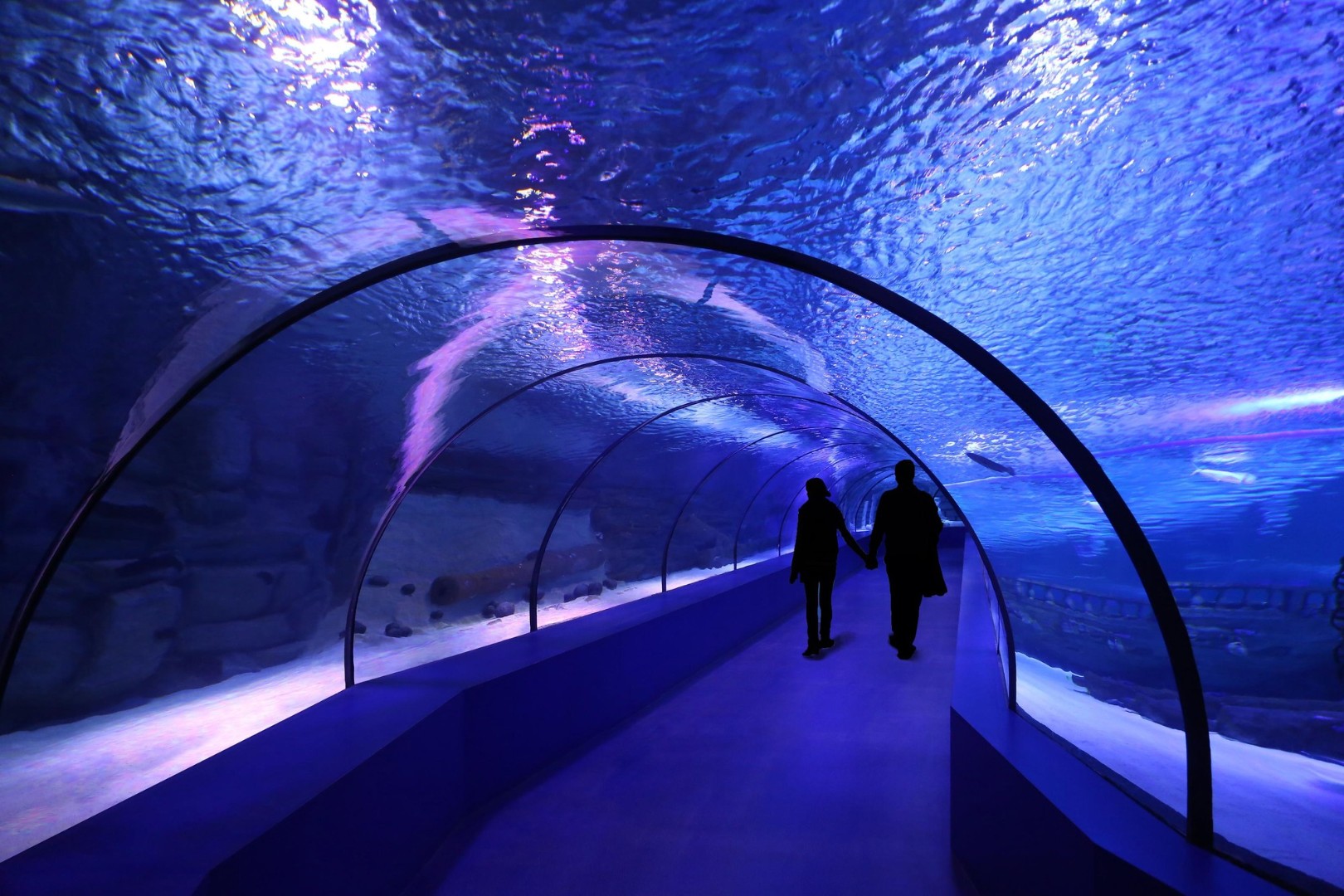 Туннельный аквариум – популярная достопримечательность Анталии