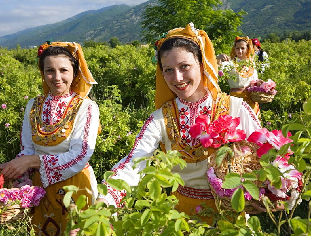Фестиваль роз проводится в двух городах по очереди, чтоб никому не было обидно: по четным годам в Казанлыке, по нечетным в Карлово