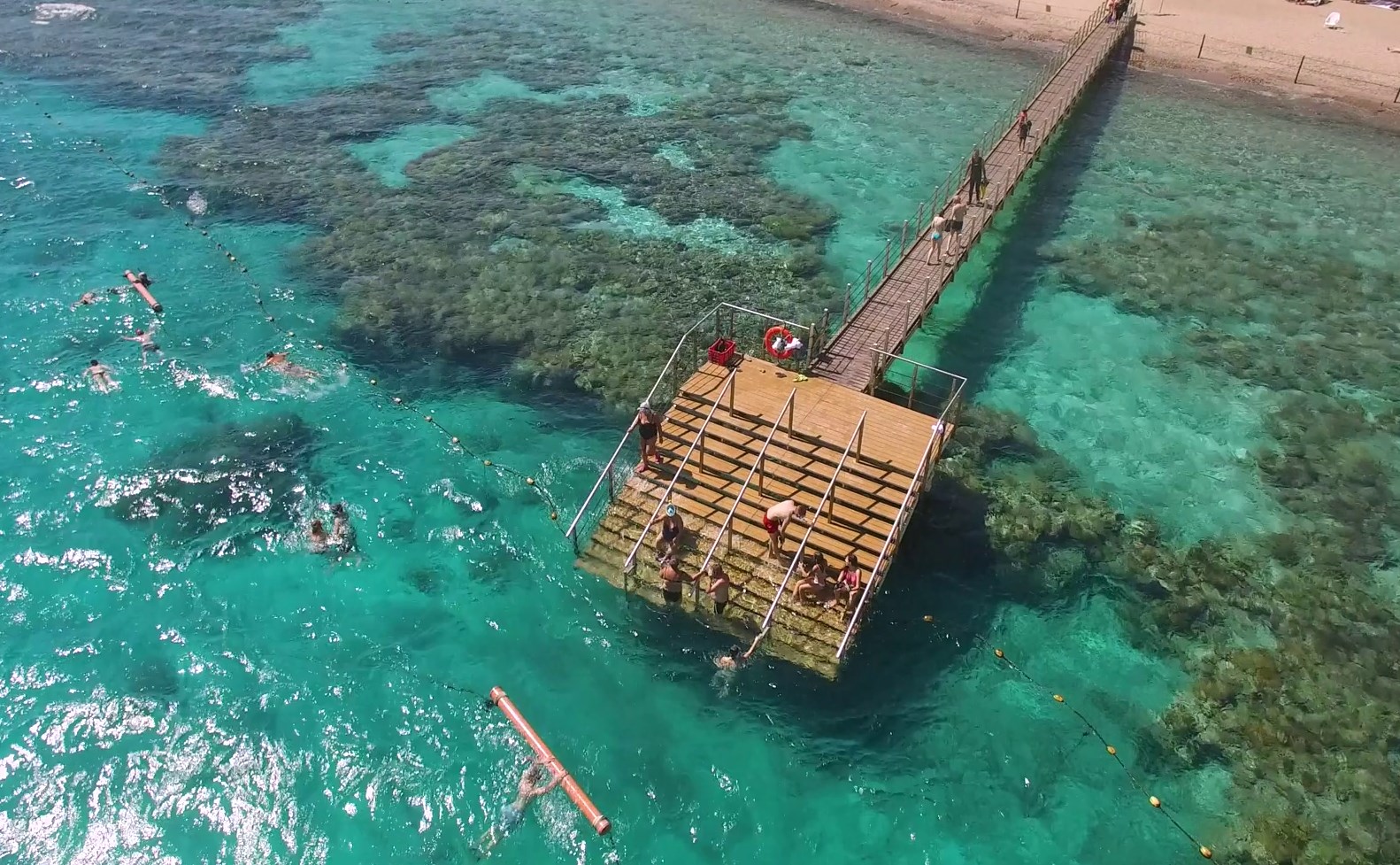 Любители дайвинга изучают тайны Красного моря.