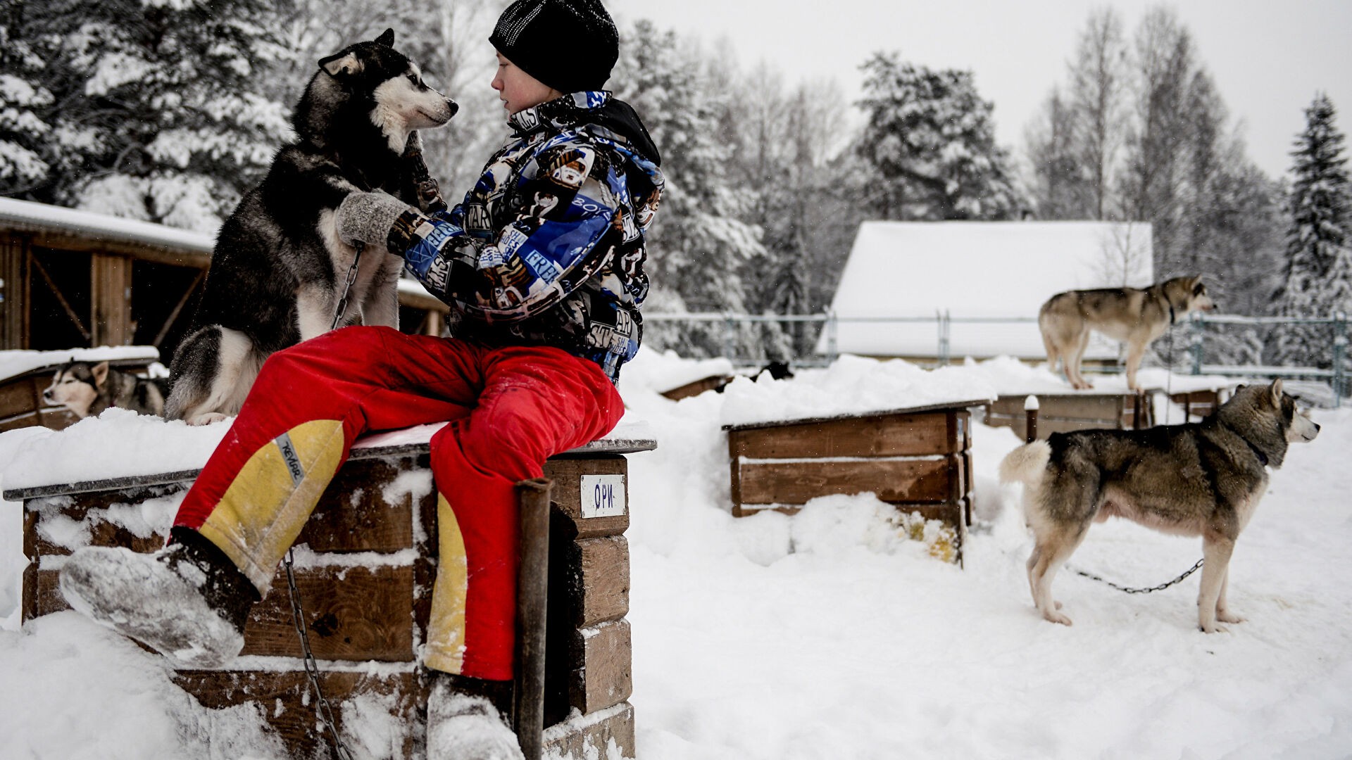 Экскурсионные туры в Карелию с приближением холодов становятся все более популярными. (Фото: ria.ru)