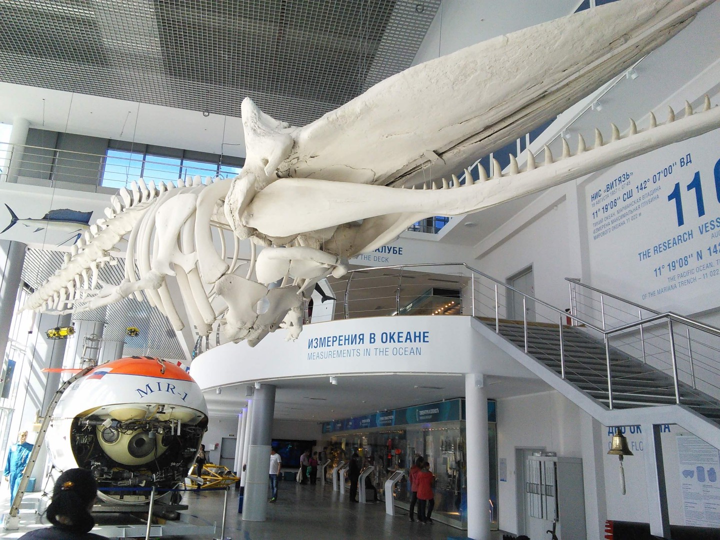 Маленьким исследователям без сомнения понравится в Музее мирового океана, да и взрослые останутся в восторге. (Фото: russia.meteors.ru)